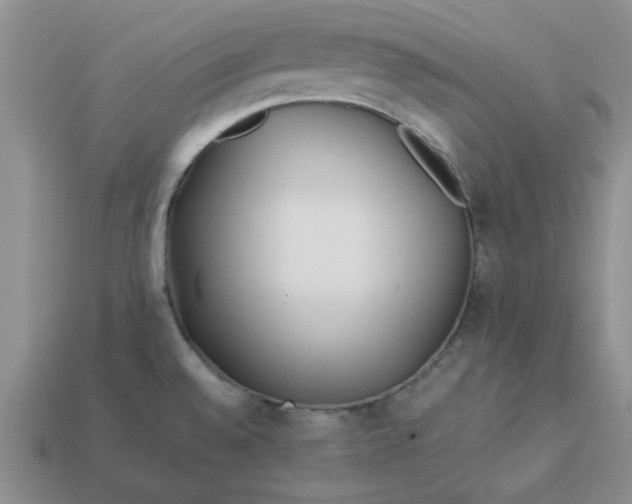 X0000113011528200909101807