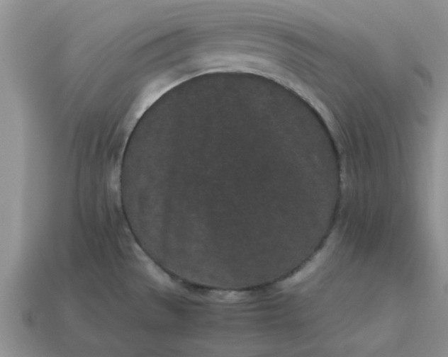 X0000113011529200909101807