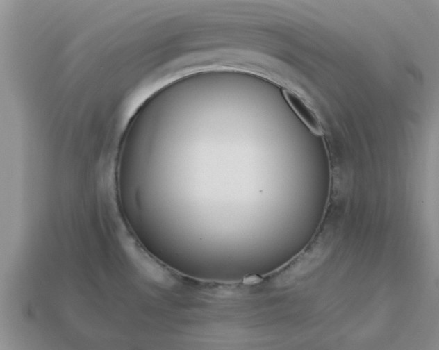 X0000113011530200909101807