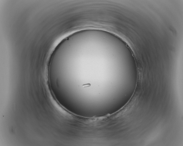 X0000113011531200909101807