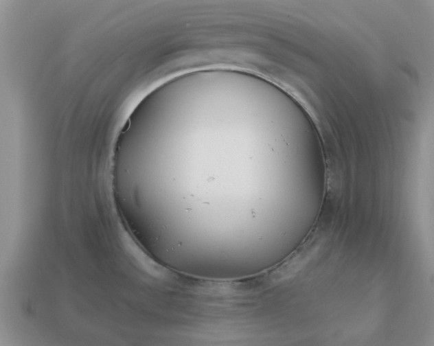 X0000113011532200909101807