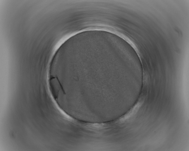 X0000113011533200909101807