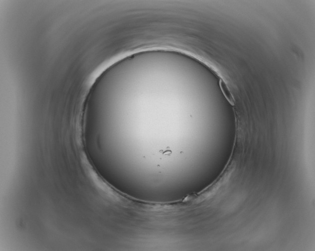 X0000113011534200909101807