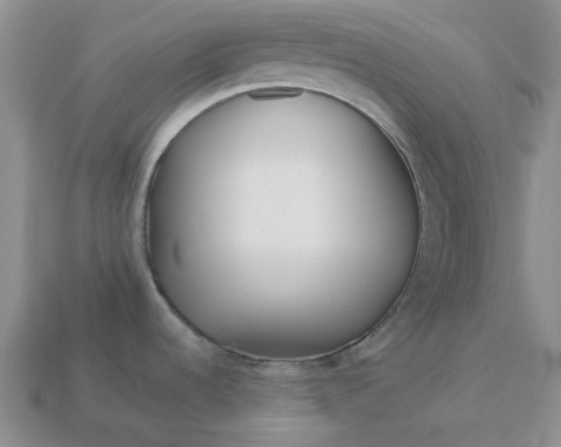 X0000113011536200909101807