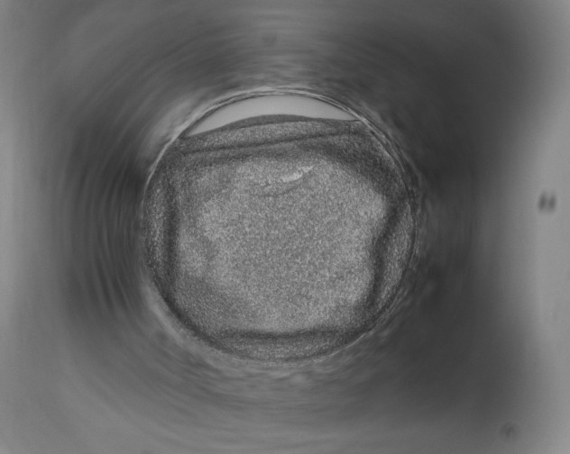 X0000113010002200909171441