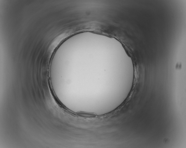 X0000113010003200909171441