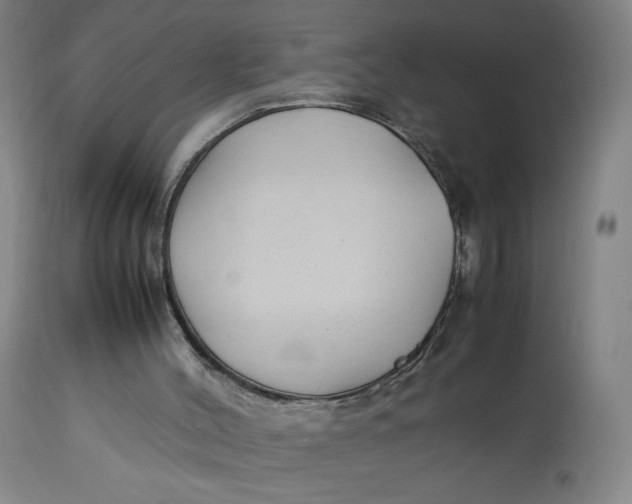 X0000113010004200909171441