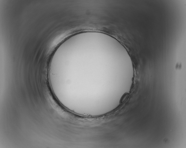 X0000113010005200909171440