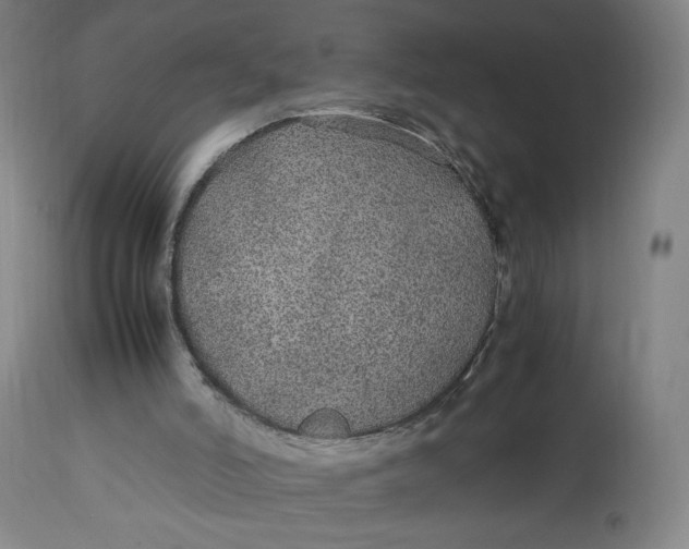 X0000113010006200909171440