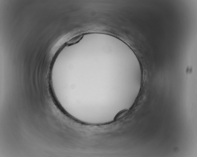 X0000113010007200909171440