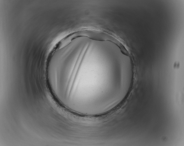 X0000113010008200909171440