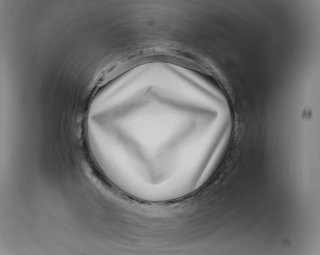 X0000113010010200909171440