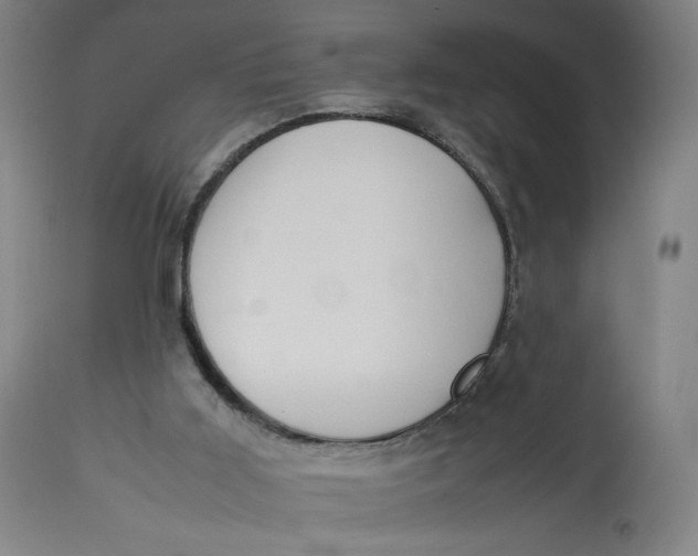 X0000113010011200909171440