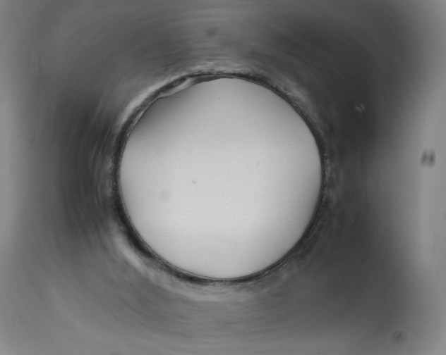 X0000113010012200909171440