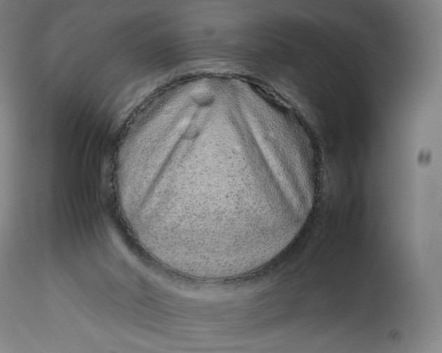 X0000113010014200909171440