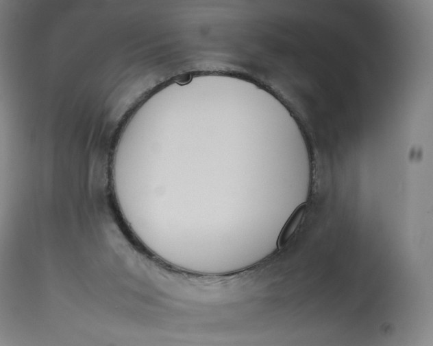 X0000113010015200909171440