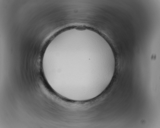 X0000113010016200909171440