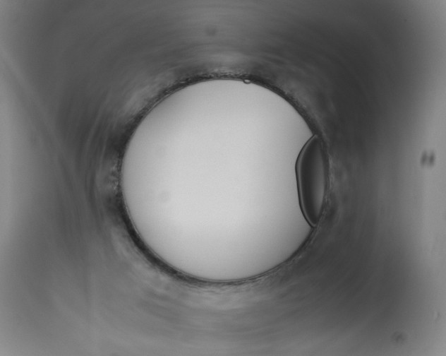 X0000113010017200909171440