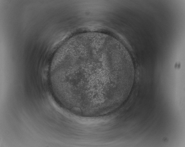 X0000113010018200909171440