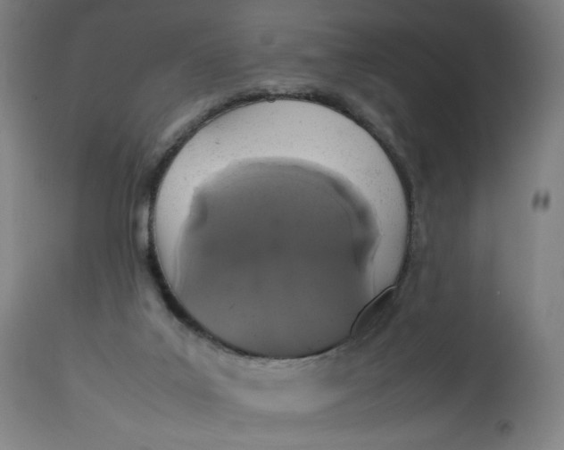 X0000113010019200909171440