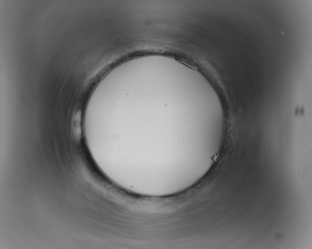 X0000113010020200909171440