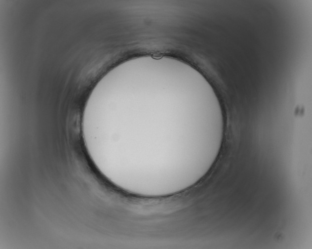 X0000113010021200909171440