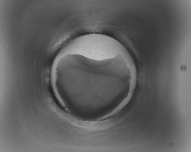 X0000113010023200909171440