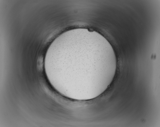 X0000113010024200909171440