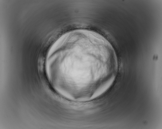 X0000113010026200909171440