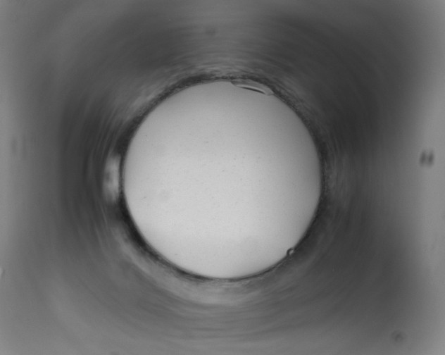 X0000113010028200909171440