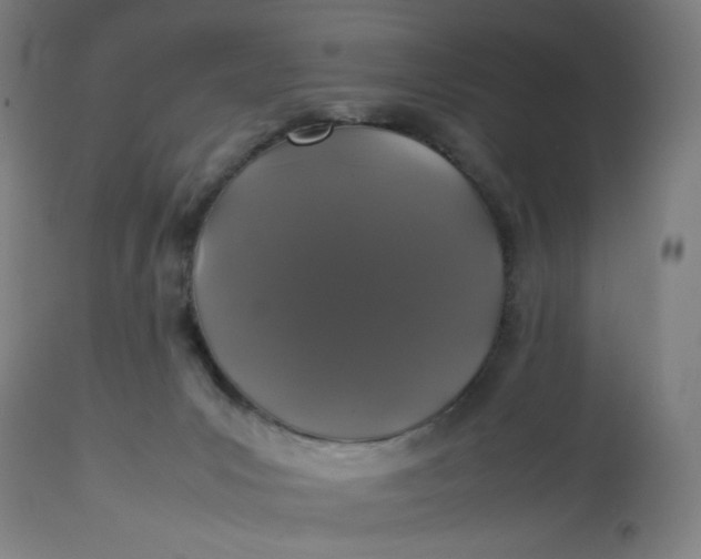 X0000113010031200909171440