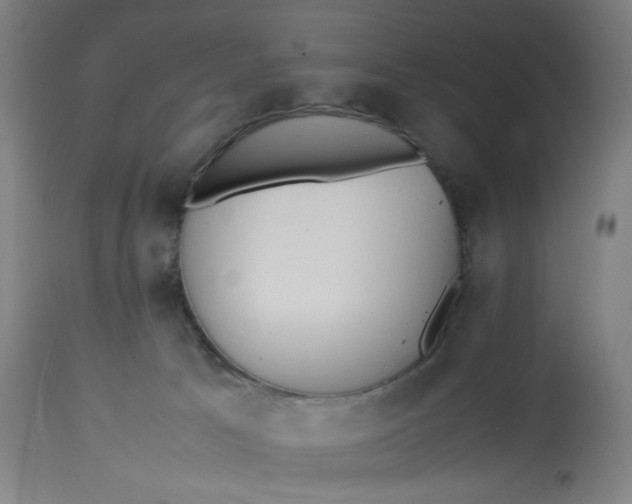 X0000113010033200909171440