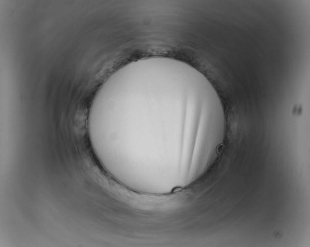 X0000113010034200909171440