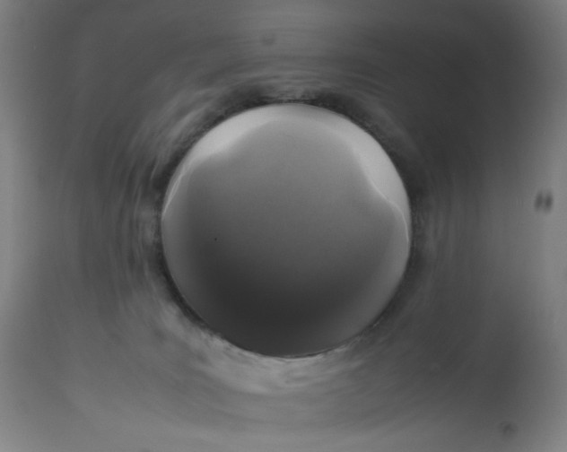 X0000113010035200909171440