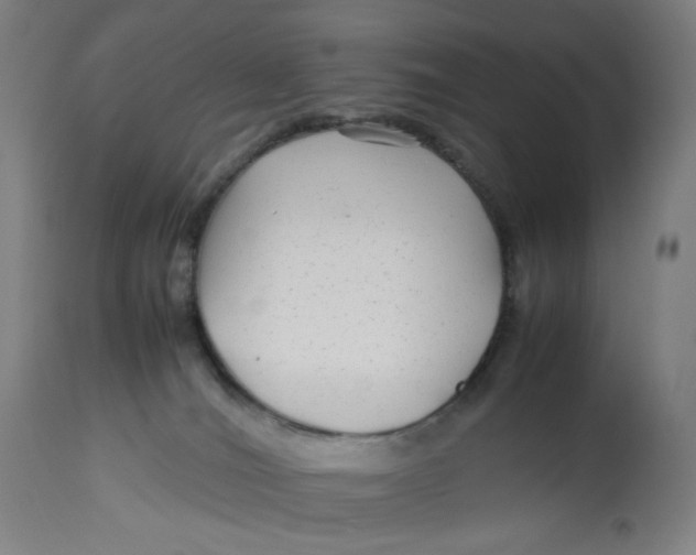 X0000113010036200909171440