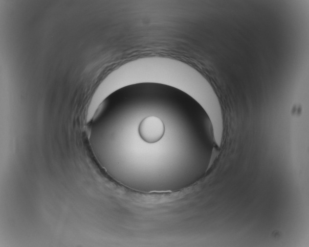 X0000113010037200909171440