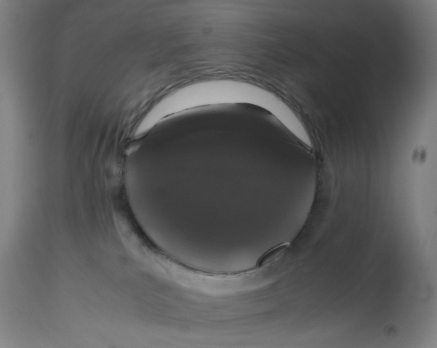 X0000113010039200909171440