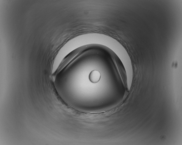 X0000113010041200909171440