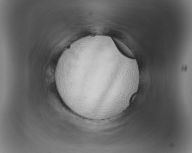 X0000113010043200909171440