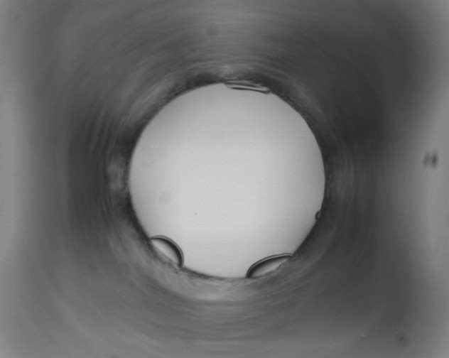 X0000113010044200909171440