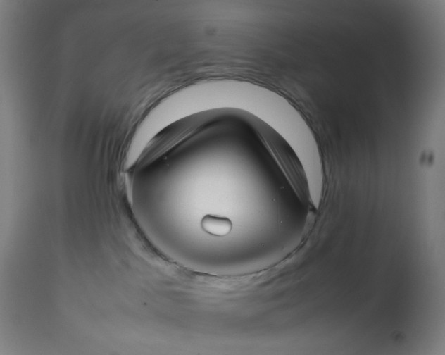 X0000113010045200909171440