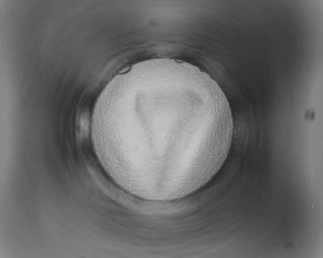 X0000113010046200909171440