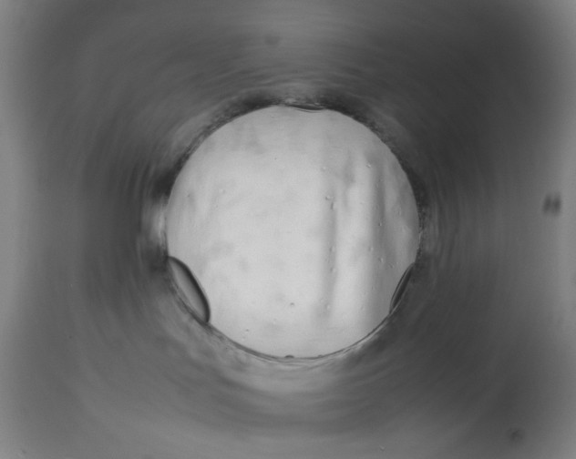 X0000113010047200909171440