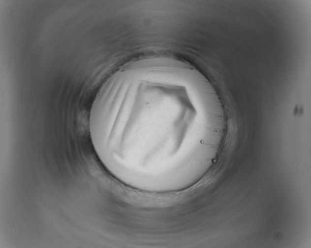 X0000113010048200909171440