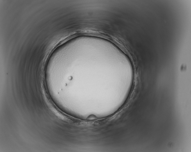 X0000113010049200909171439