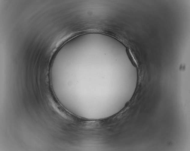 X0000113010050200909171439