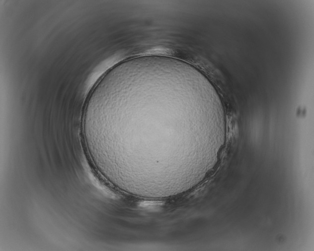 X0000113010051200909171439