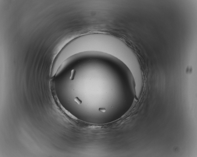 X0000113010052200909171439