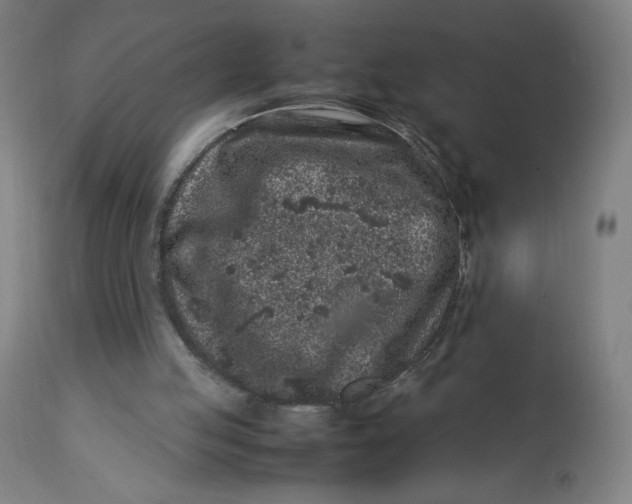 X0000113010053200909171439