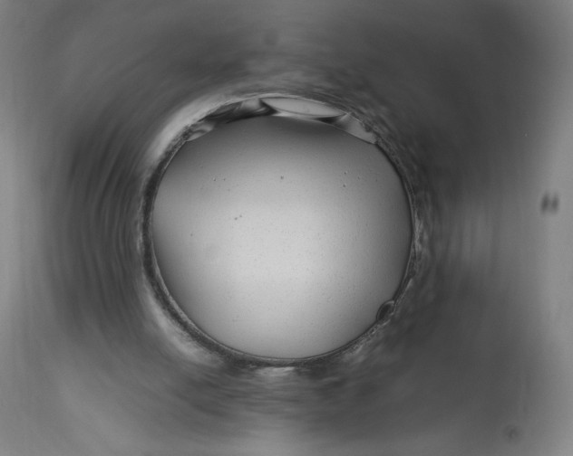 X0000113010054200909171439